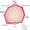 DIXCEL&reg; FP Type Brake Rotors - Rear (FP1257872S) - Image 3
